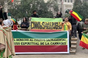 They demand freedom for Rastafarians imprisoned for sacramental cultivation of cannabis in Chile