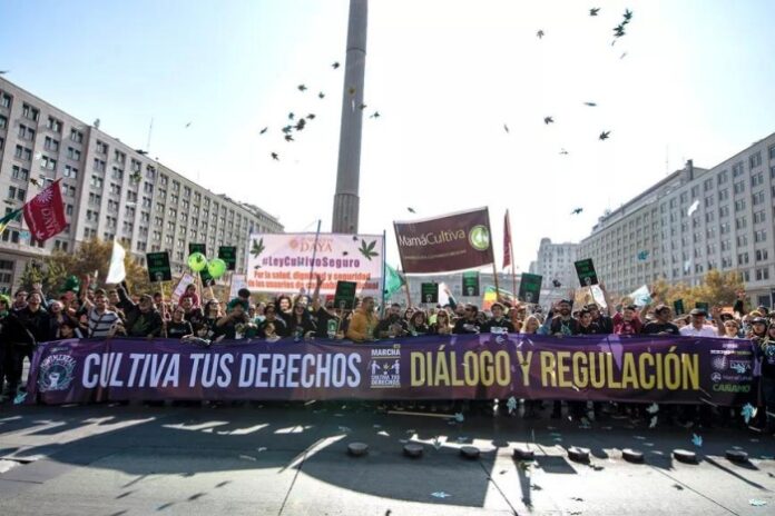 En septiembre se realizará la decimonovena edición de la Marcha Cultiva tus Derechos en Santiago
