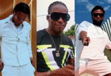 Three generations of Dancehall come together in the Street Vybz in Santiagoiago Tres generaciones de bailarines dictarán taller de dancehall en Santiago