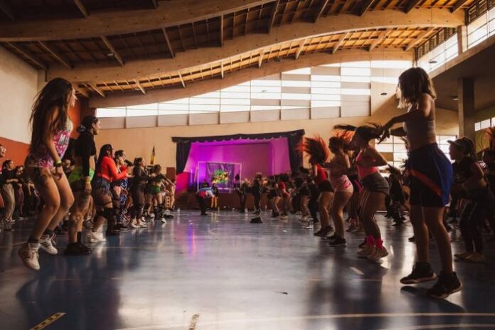 El Summer Festival se realizará en el Parque Mallinco de Peñaflor