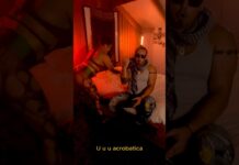 “Faraona”, la versión de Canis Major sobre el Hill & Gully Riddim